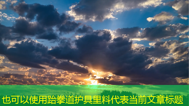 跆拳道护具里料