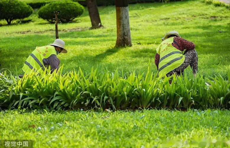 米乐m6官网登录入口：荣耀网球拍重量多少克合适