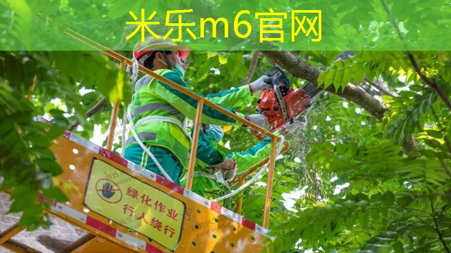 米乐：幼儿园网球拍器械操音乐