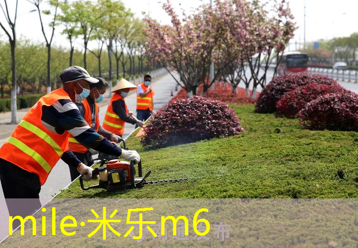 室内健身动作慢的原因