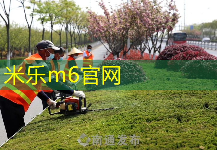 mile·米乐m6：疯狂篮球迷必备神器！探索可拆卸可移动篮球架，释放你的热情！