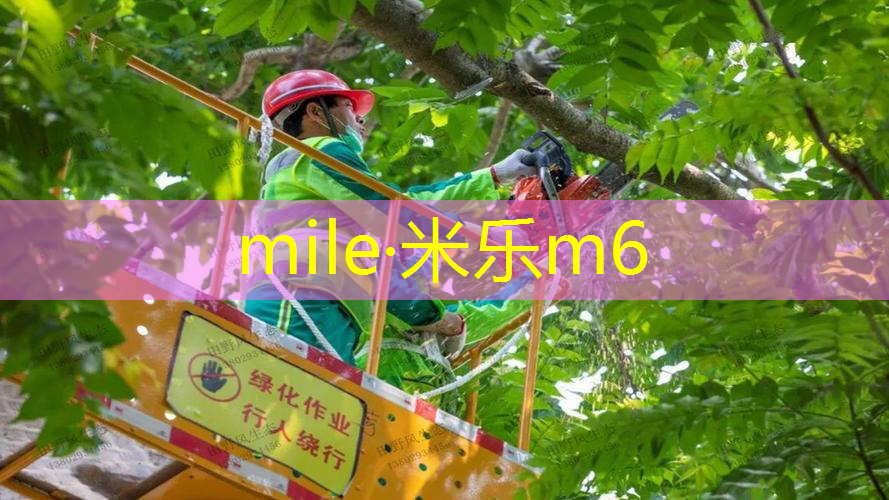 mile·米乐m6：让孩子学会独立和合作精神，以儿童户外游乐设施为媒介！
