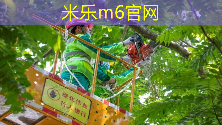 米乐m6官网：孩子们的好伙伴！儿童游乐滑梯新增密封玩法，创造更多乐趣！