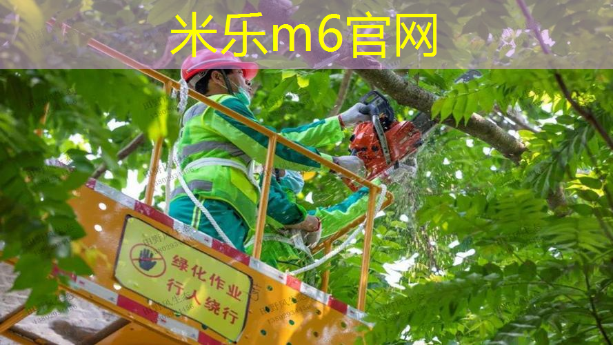 米乐m6官网：乒乓球台可以当桌子用吗