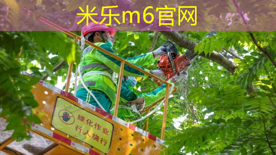 网球拍手柄大小怎么选择