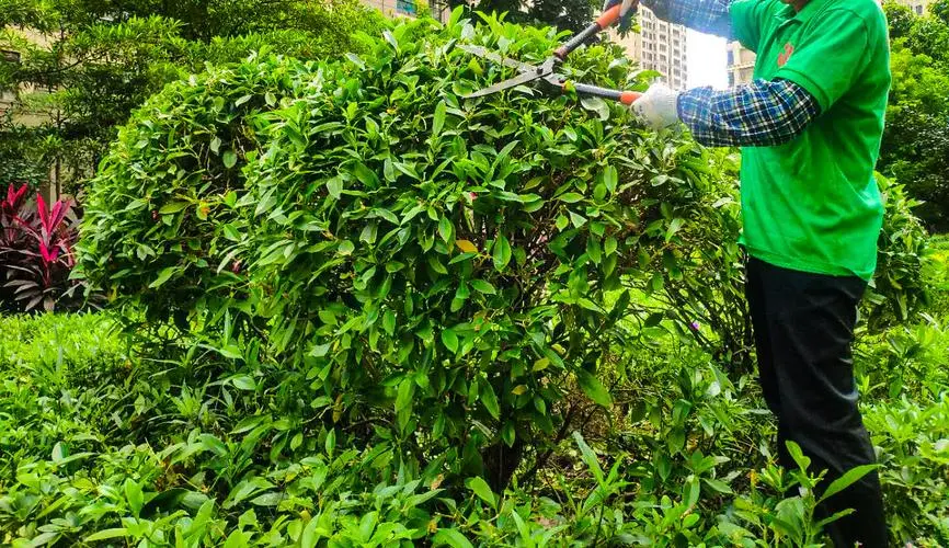 网球拍的码数怎么看的出来