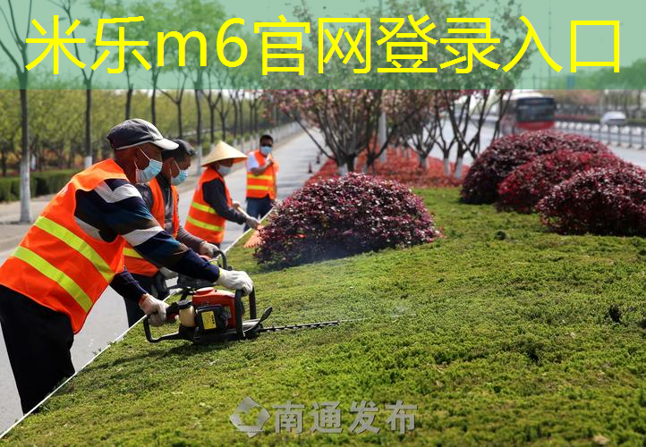 网球拍铝合金和碳素哪种贵