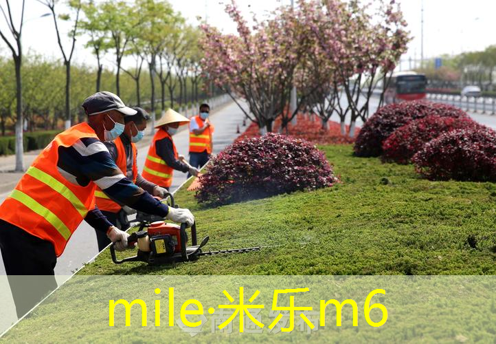 网球拍铝合金是几系列