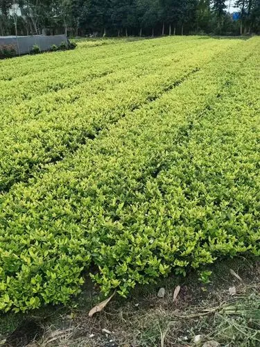三亚健身房室内游泳