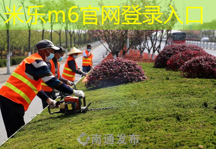 疯狂篮球迷必备神器！探索可拆卸可移动篮球架，释放你的热情！