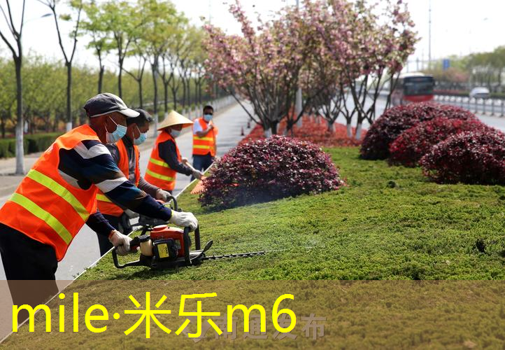 田径弹力带训练器材名称