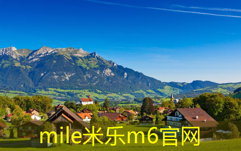 乒乓球台小型家庭用
