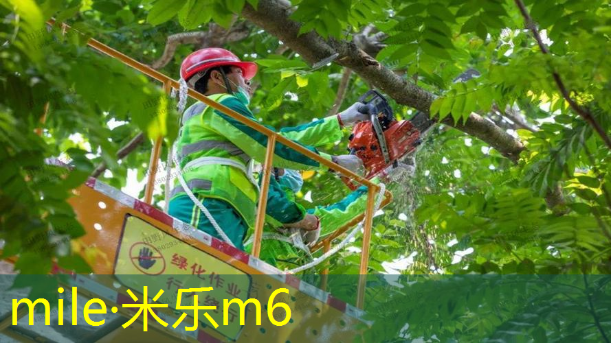 乒乓球台哪条是端线和平行线